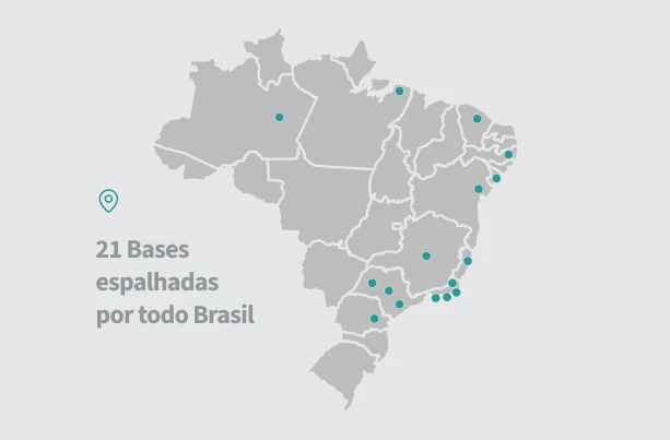 Lorem ipsum dolor sit amet consectetur. Cursus.